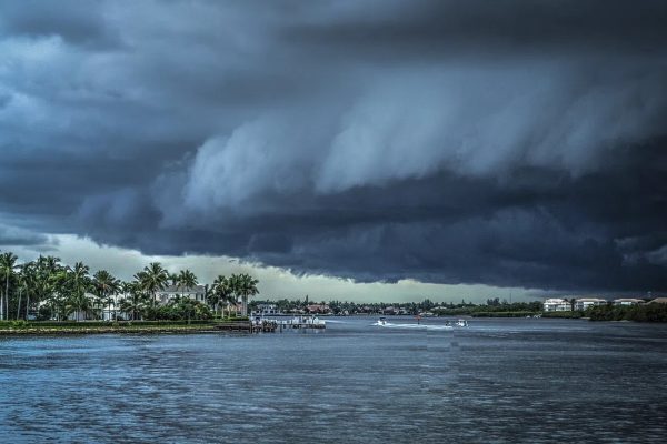 Hurricane Idalia makes landfall on Floridas Coast. Its estimated that this storm caused between $12 - 20 billion in damage.