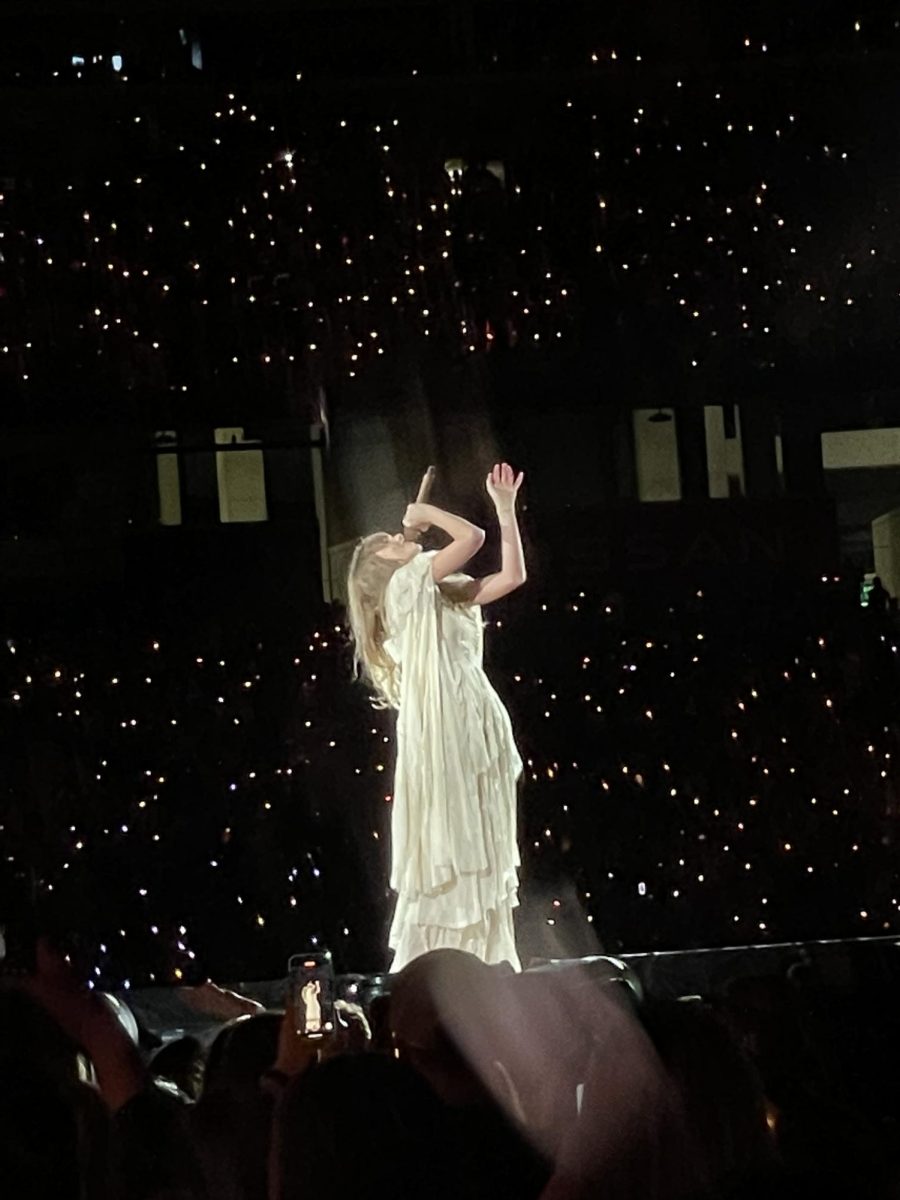 Taylor Swift during the folklore era on the Eras Tour. 