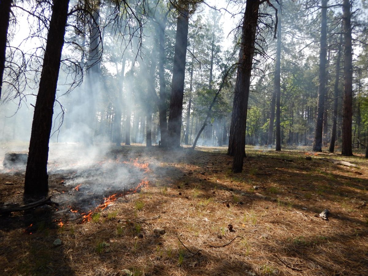 Comal County has been under a burn ban for 26 days following the wildfire disaster declaration. Photo by Coconino NF Photography