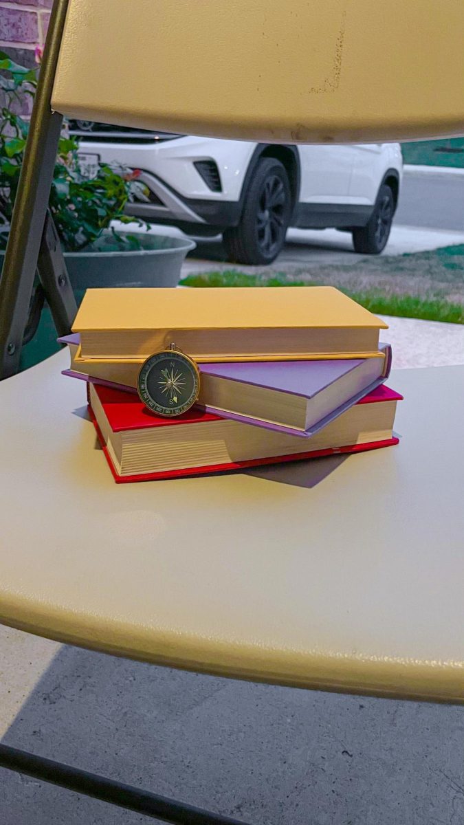 Student’s Experience Reading “Bruiser”
